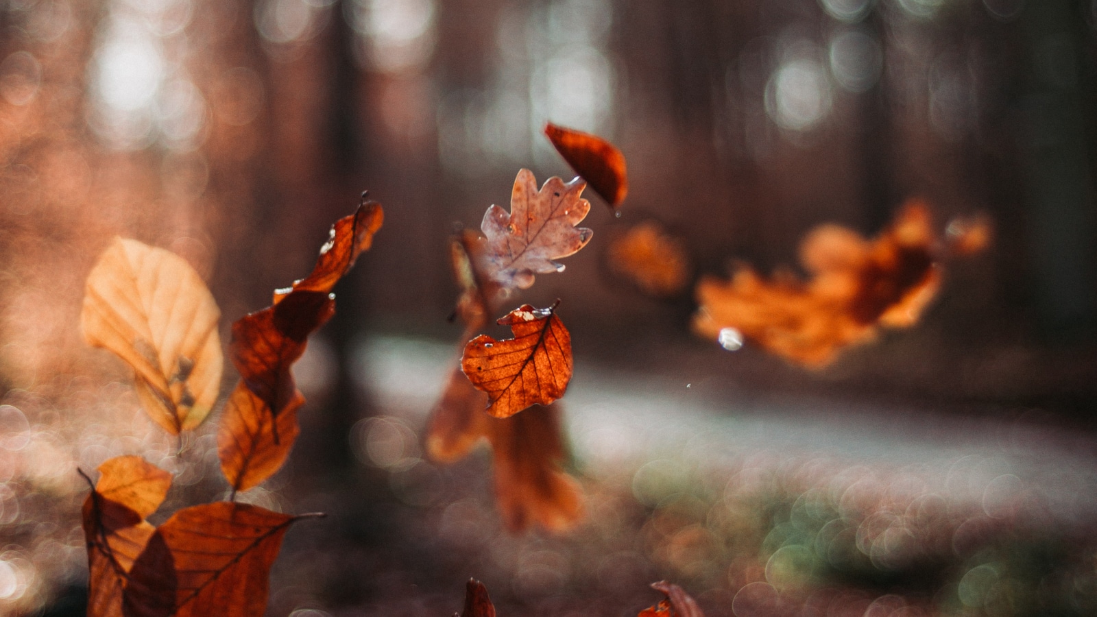 Oliver Hihn @ unsplash.com